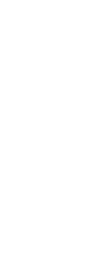 見渡す限りの星空体験